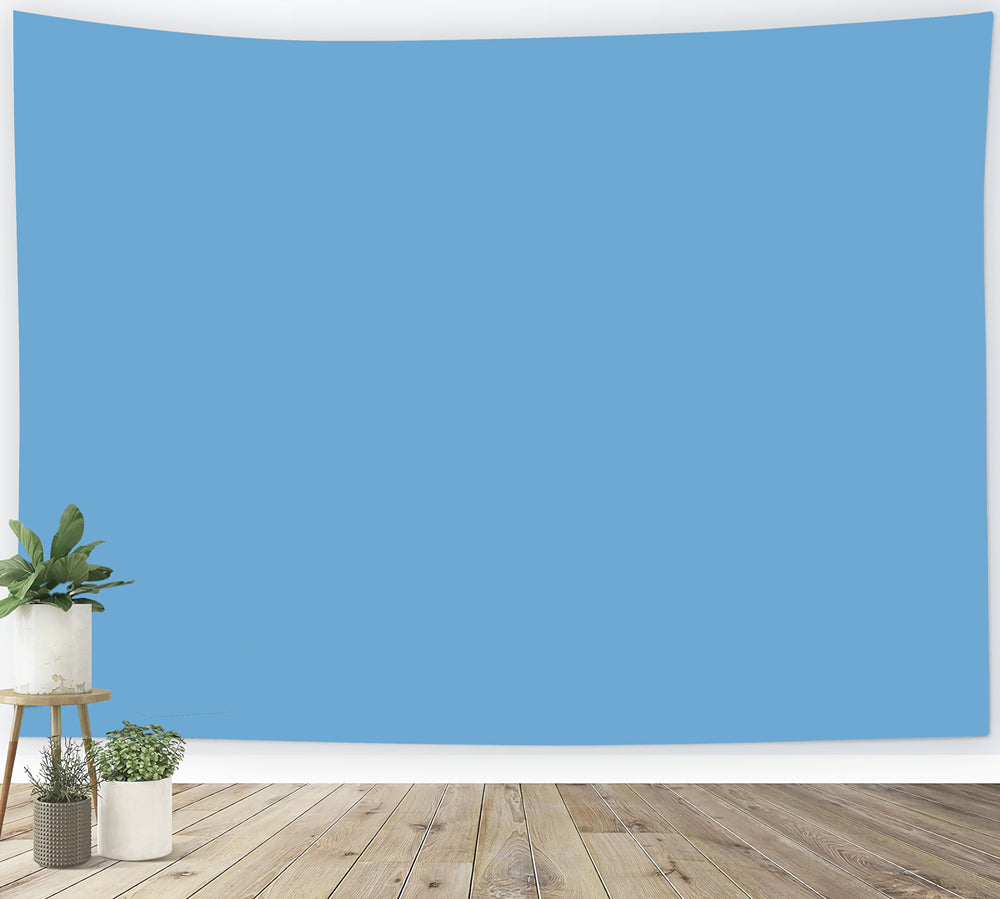 Blue Backdrop Photography Clear Sky Blue Tone Solid Color Photography Backdrop UK CSH62-17