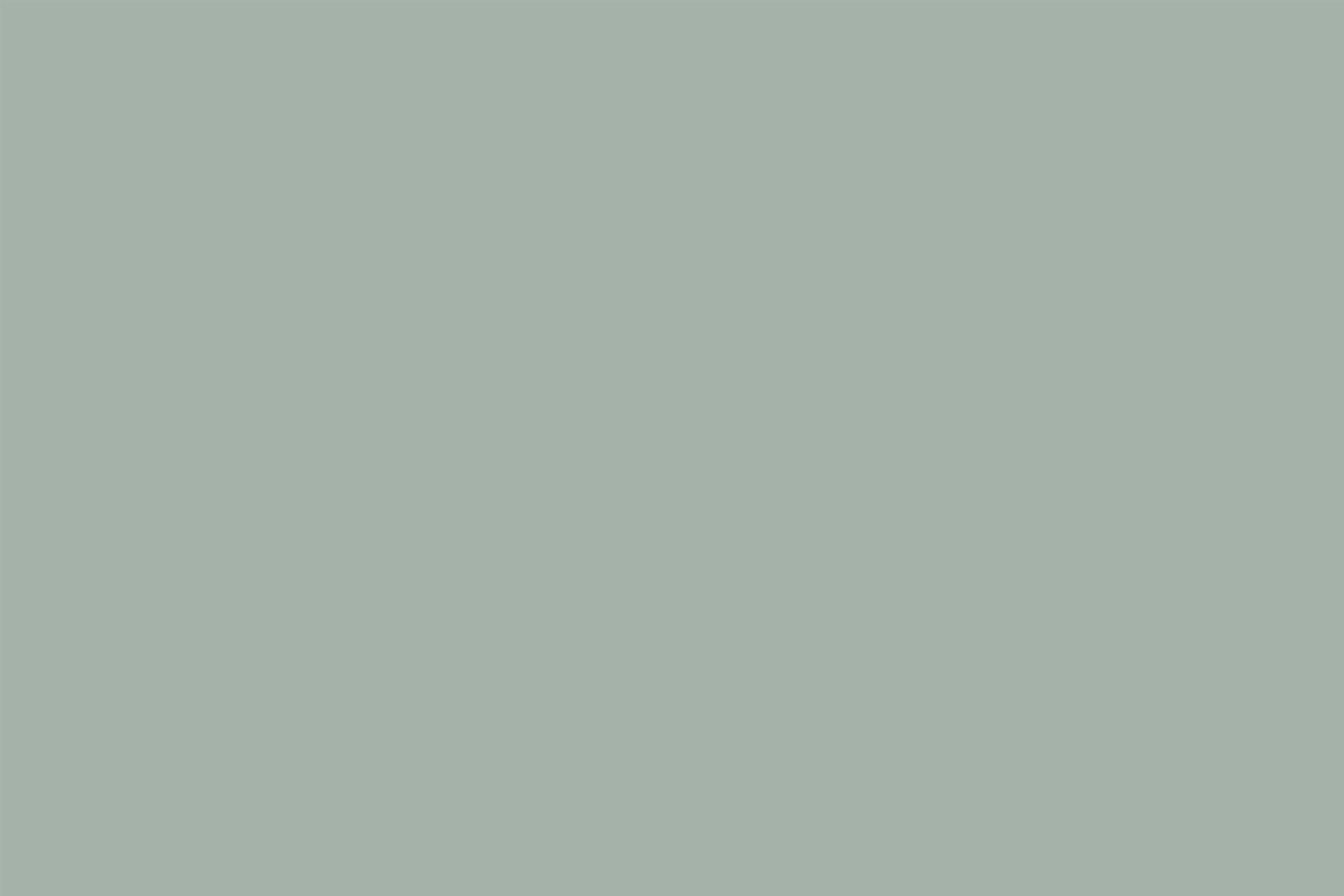 Greenery Backdrop Muted Sage Green Natural Calm Solid Color Backdrop UK CSH62-19