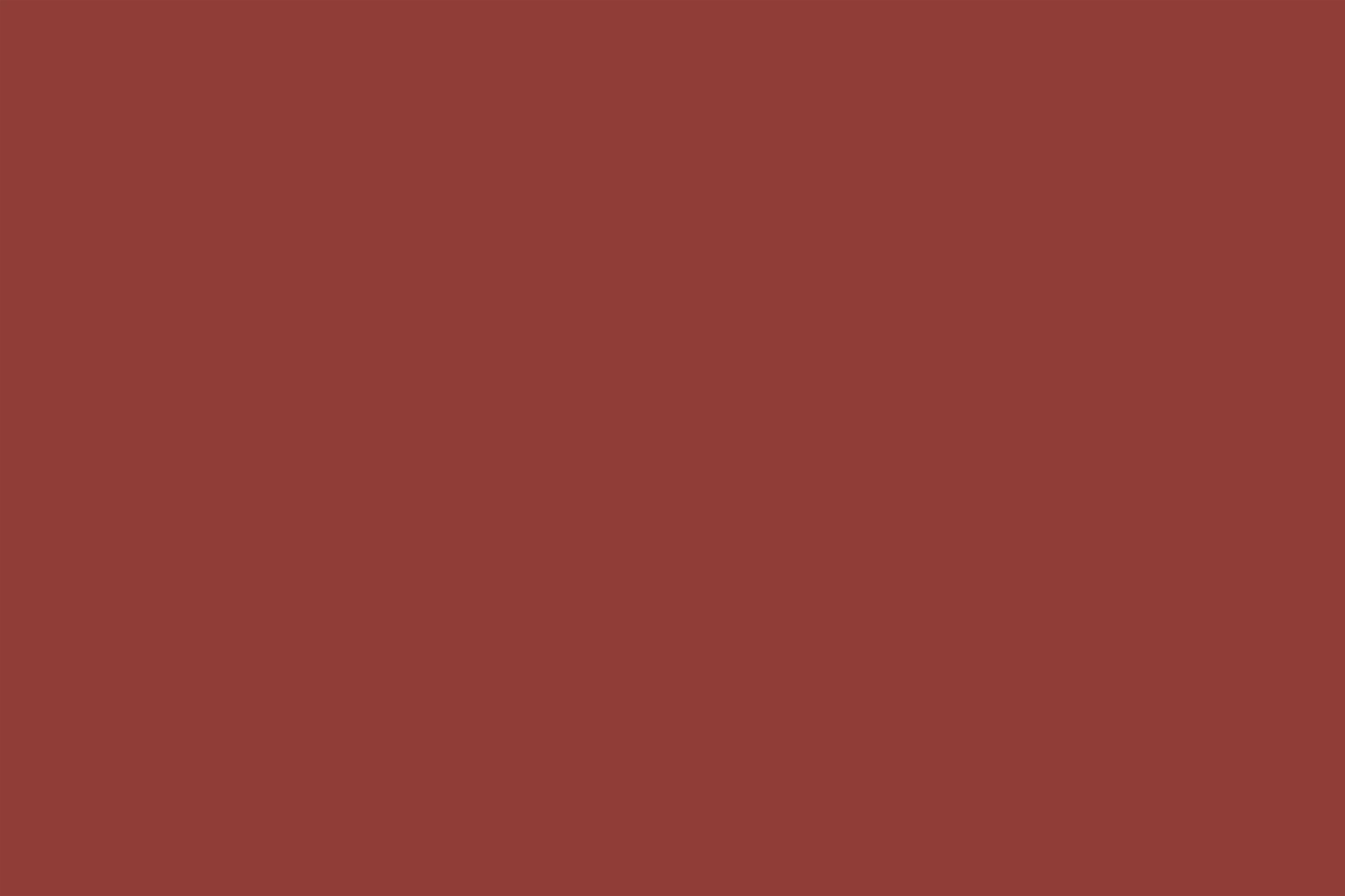 Red Photo Backdrop Deep Brick Red Classic Depth Solid Color Backdrop UK CSH62-24