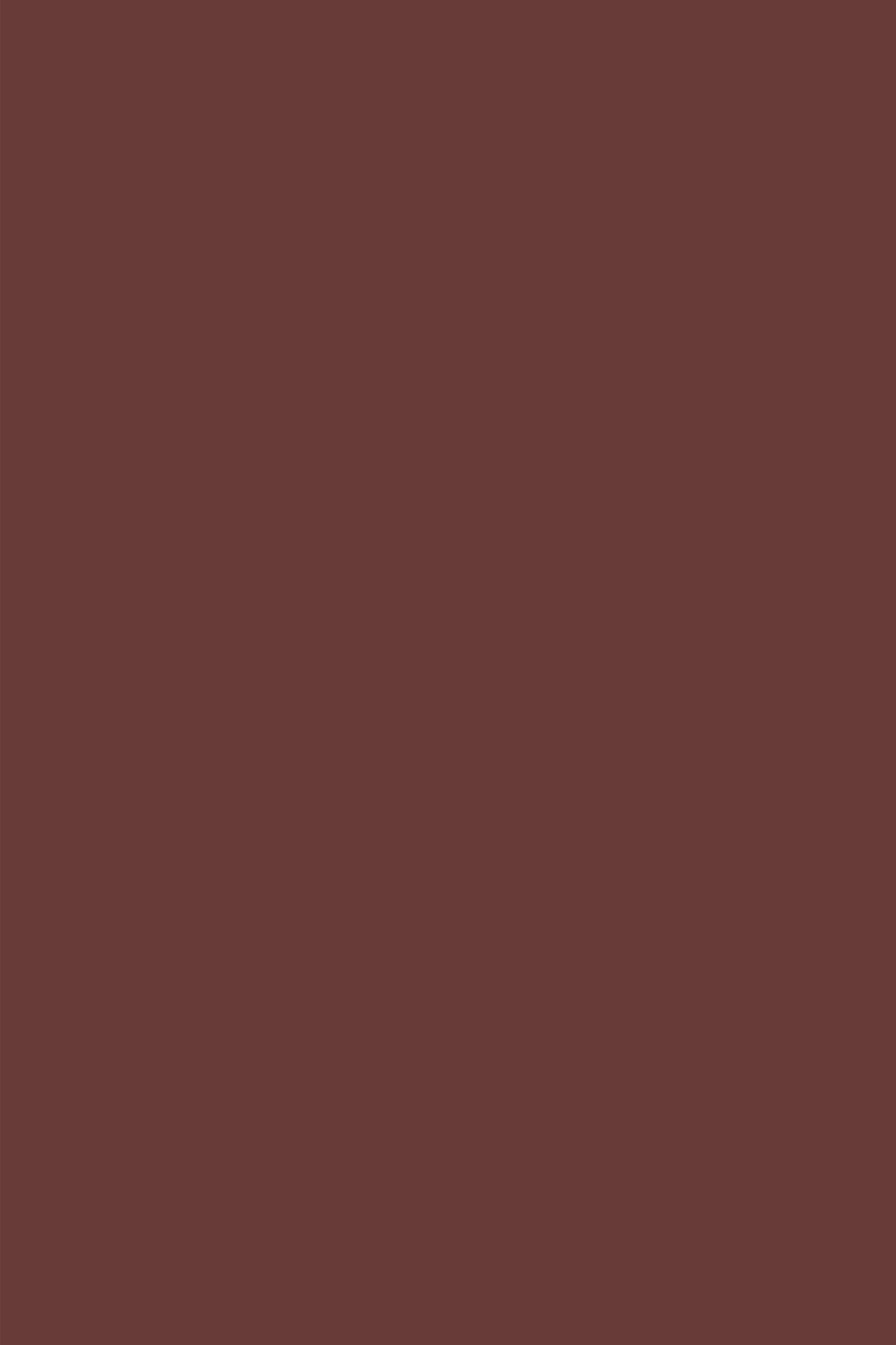 Brown Backdrop Rich Chestnut Brown Matte Tone Solid Backdrop For Photography UK CSH62-25