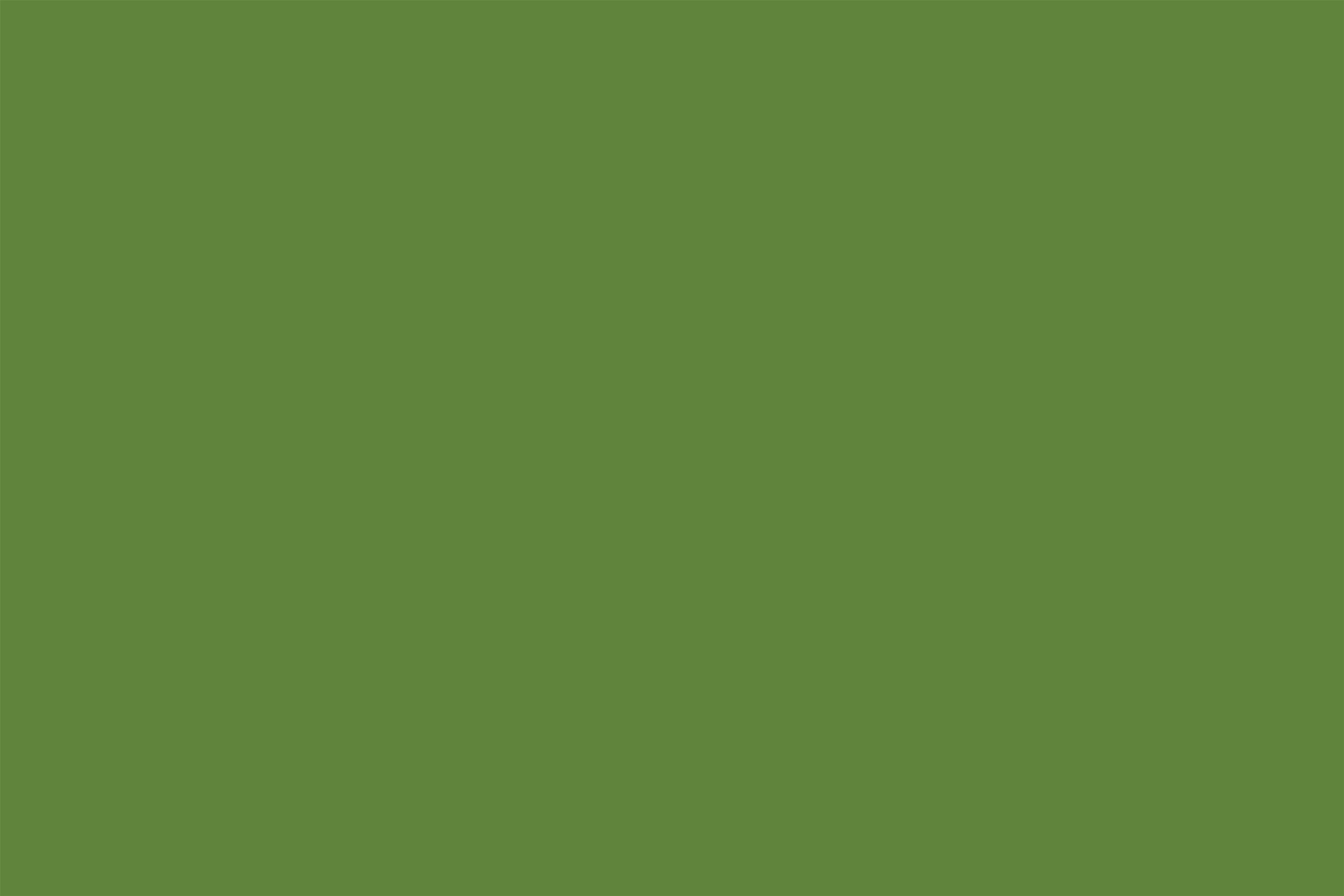 Green Photography Backdrop Olive Green Earthy Solid Shade Solid Backdrops UK CSH62-28