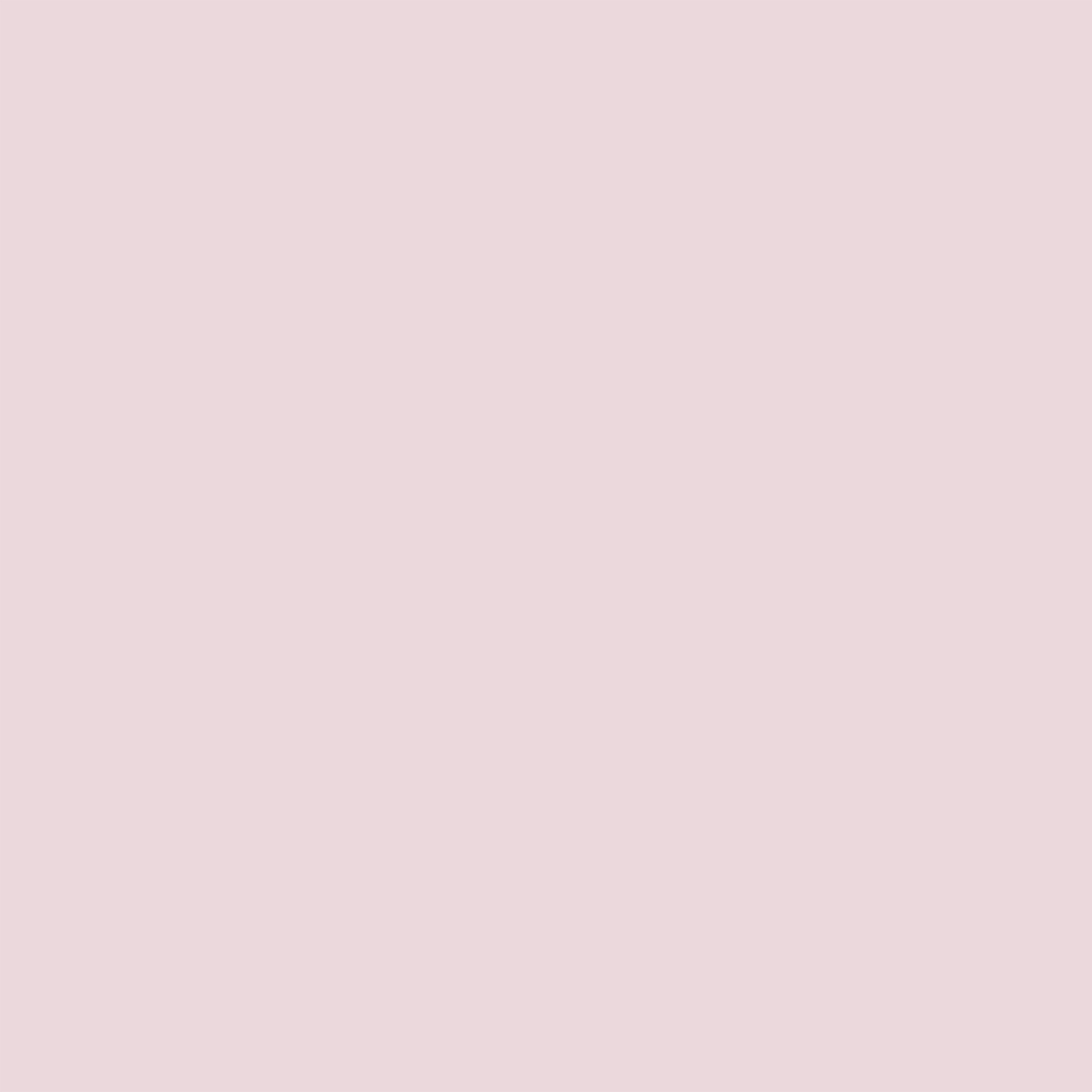 Light Pink Backdrop Soft Blush Pastel Solid Backdrop For Photography UK CSH62-5