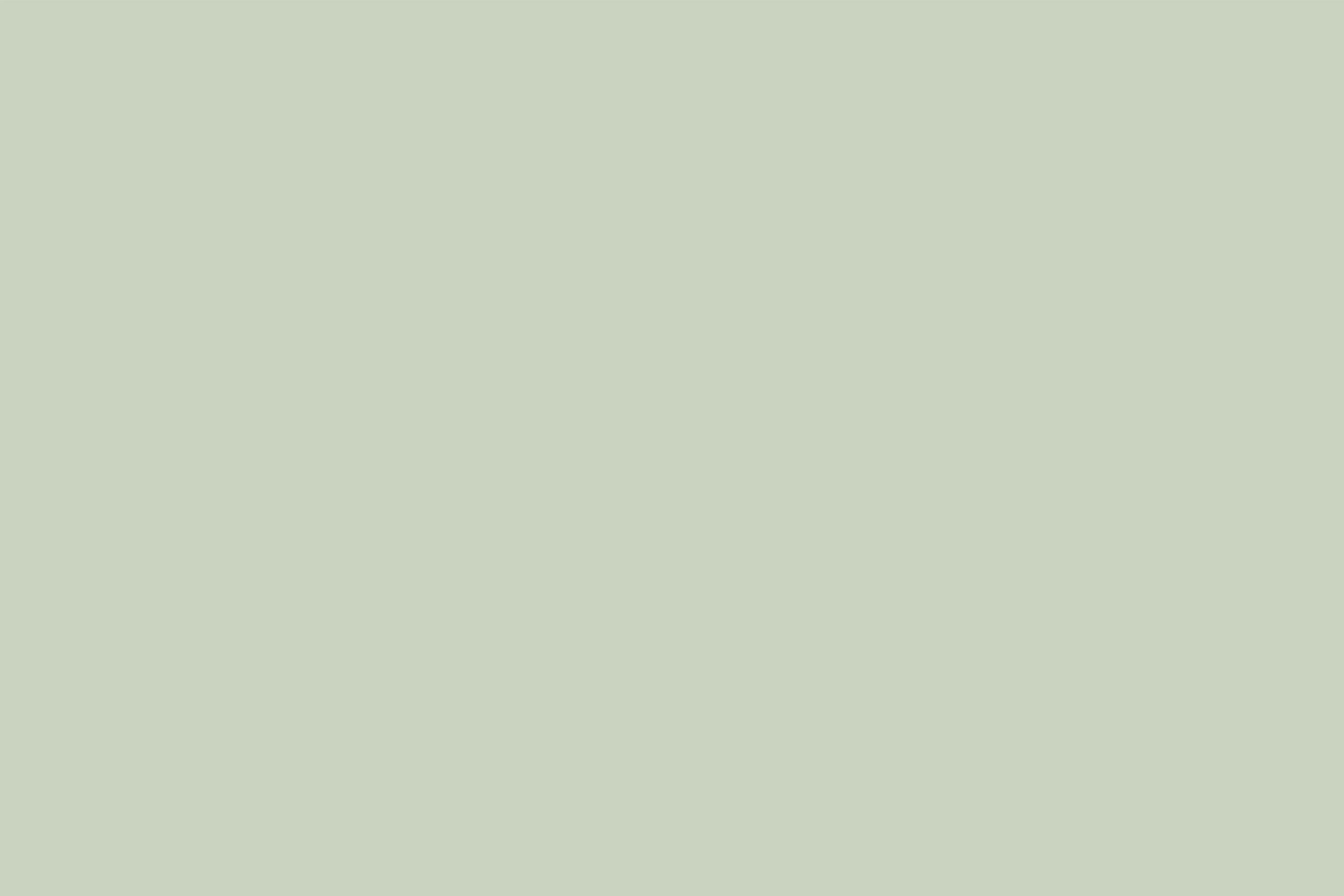 Green Backdrop Gentle Sage Green Natural Shade Solid Color Photo Backdrops UK CSH62-8