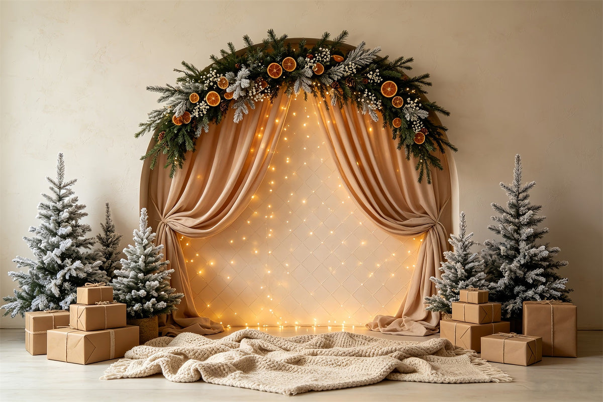 Christmas Lights Backdrop Frosted Arch Garland Curtain Backdrop Christmas UK CSH68-56