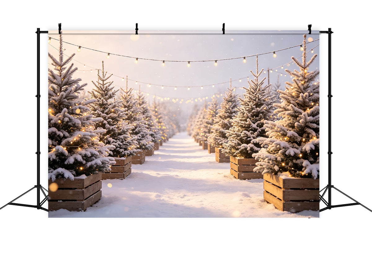 Christmas Tree Farm Backdrop Snowy Pine Light Path Photo Backdrop Christmas UK CSH68-97