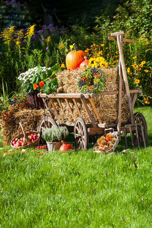 Festival Backdrop UK Autumn Farm Background Harvest Season DBD-19066