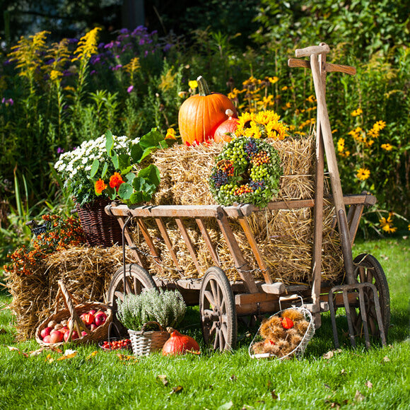 Festival Backdrop UK Autumn Farm Background Harvest Season DBD-19066