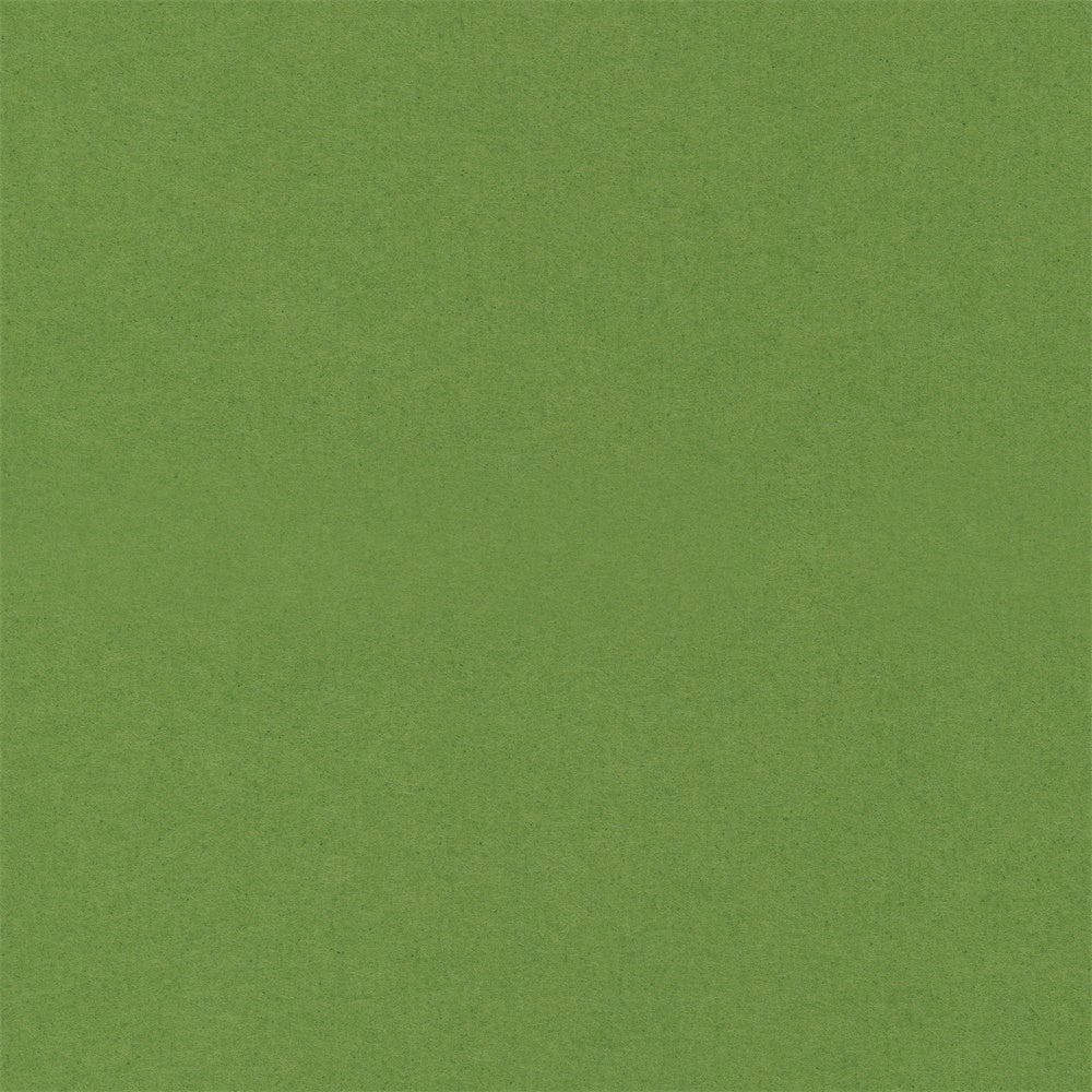 Graduation Portrait Backdrop Pure Green Smooth Backdrop UK GQ4-178