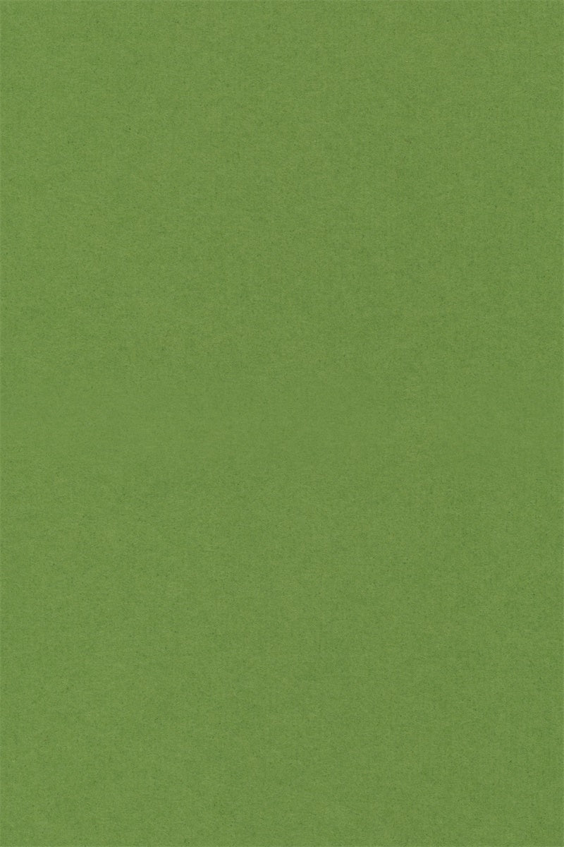 Graduation Portrait Backdrop Pure Green Smooth Backdrop UK GQ4-178