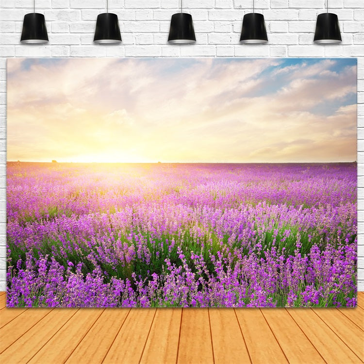 Lavender Backdrop Morning Bloom Floral Photography Backdrop UK GQ4-21
