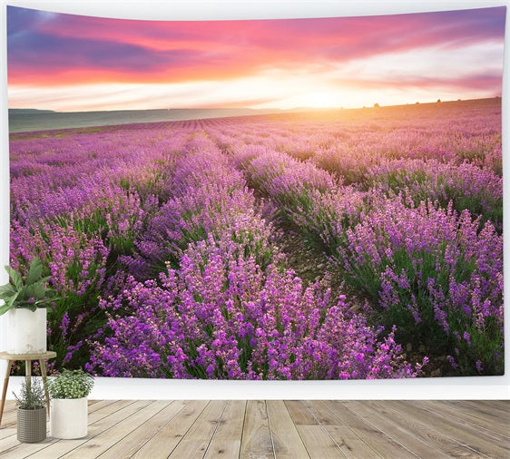Purple Backdrop For Photography Sunset Lavender Rows Backdrop UK GQ4-22