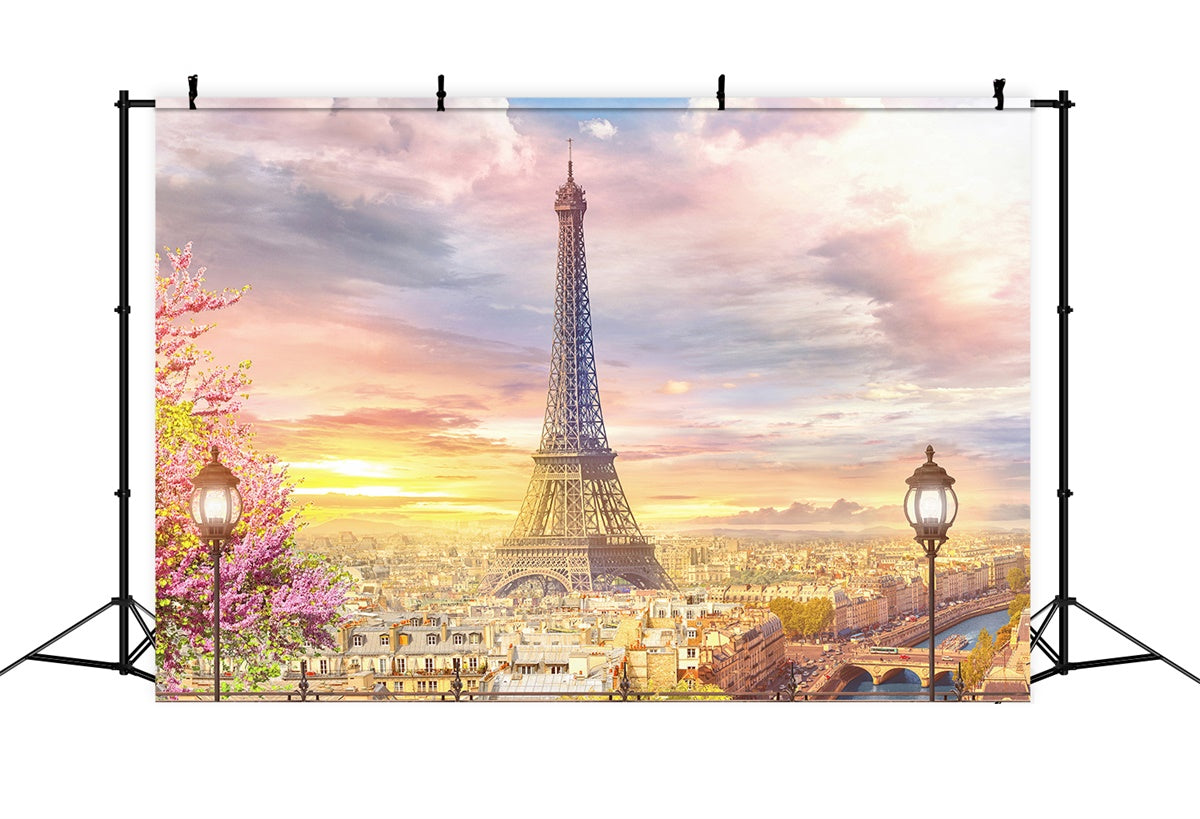 Paris Photo Backdrops Charming Skyline Paris View Backdrop UK GQ4-54