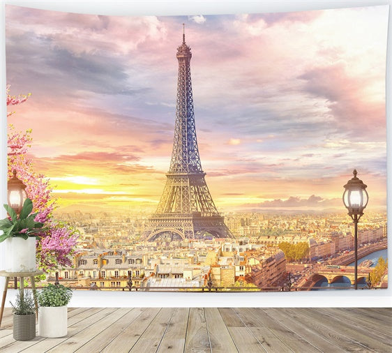 Paris Photo Backdrops Charming Skyline Paris View Backdrop UK GQ4-54