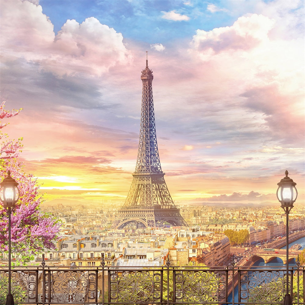 Paris Photo Backdrops Charming Skyline Paris View Backdrop UK GQ4-54