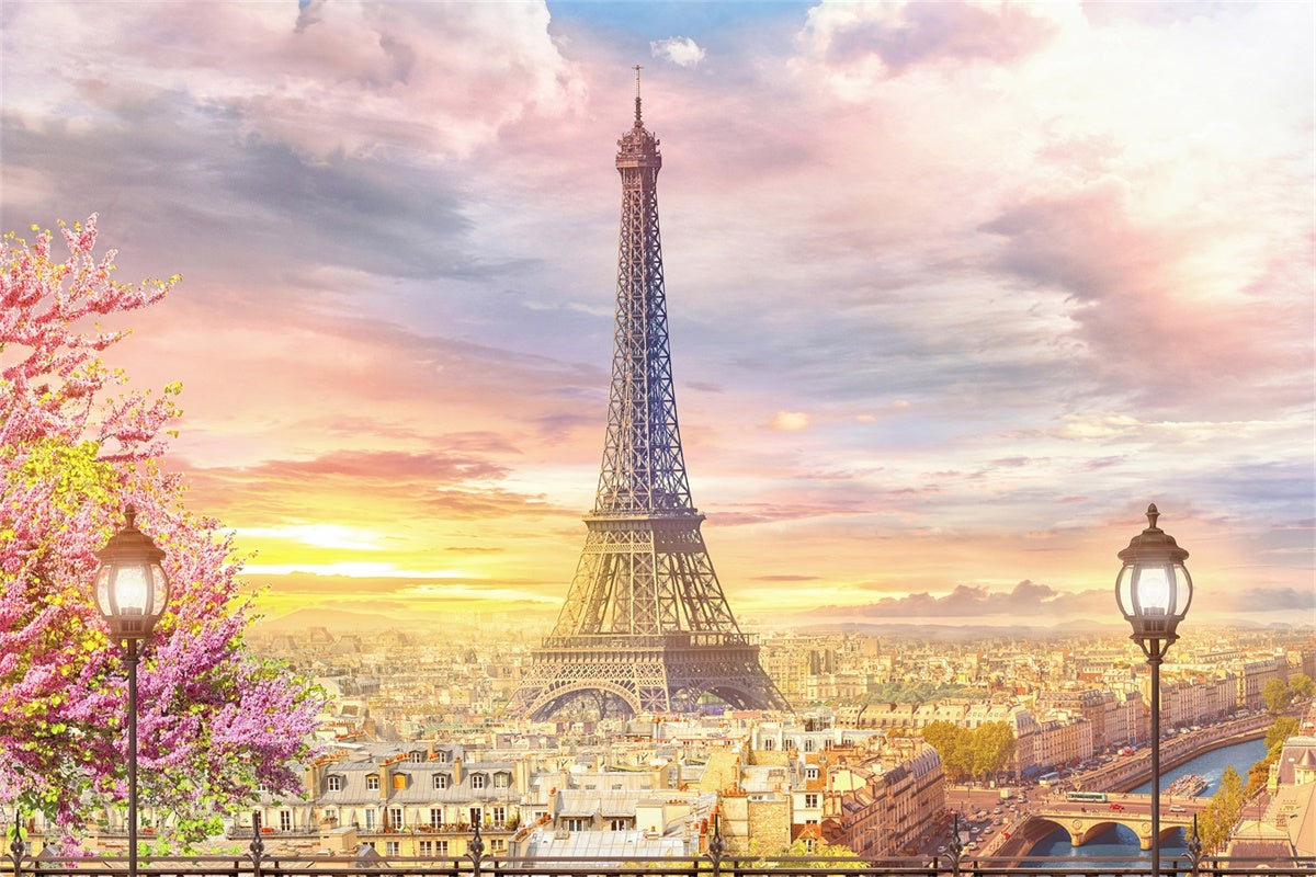 Paris Photo Backdrops Charming Skyline Paris View Backdrop UK GQ4-54