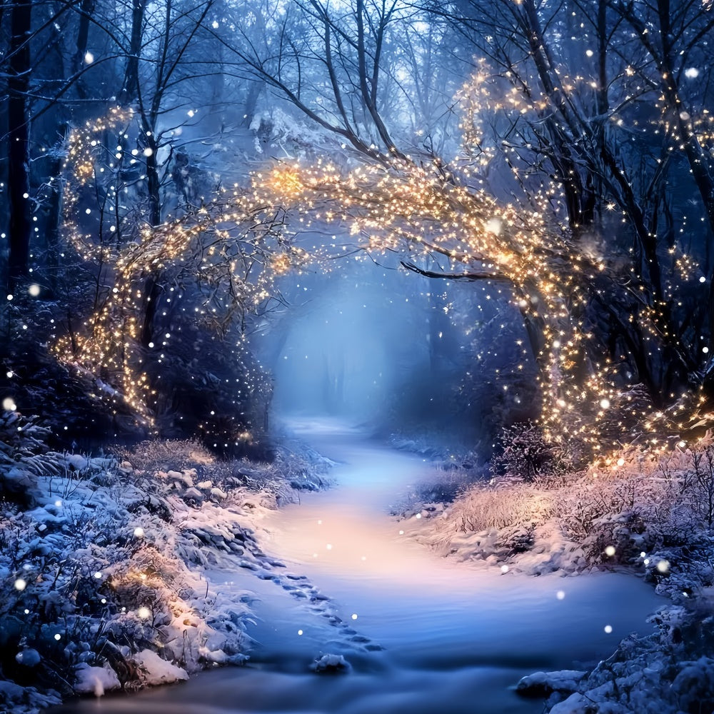 Winter Forest Backdrop Fairy Lights Trail Backdrop UK GQ57-174