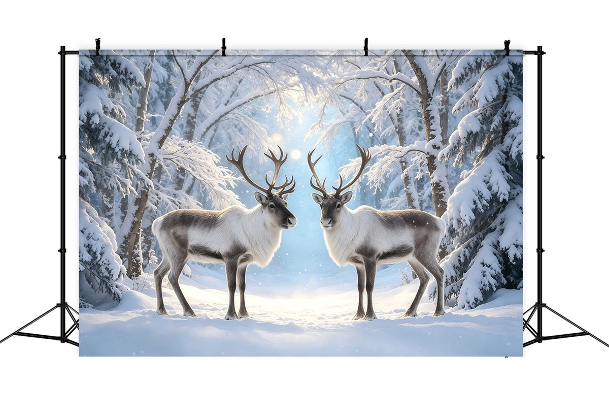 Snowy Christmas Backdrop Reindeer Winter Forest Path Christmas Photo Backdrop UK GQ68-117