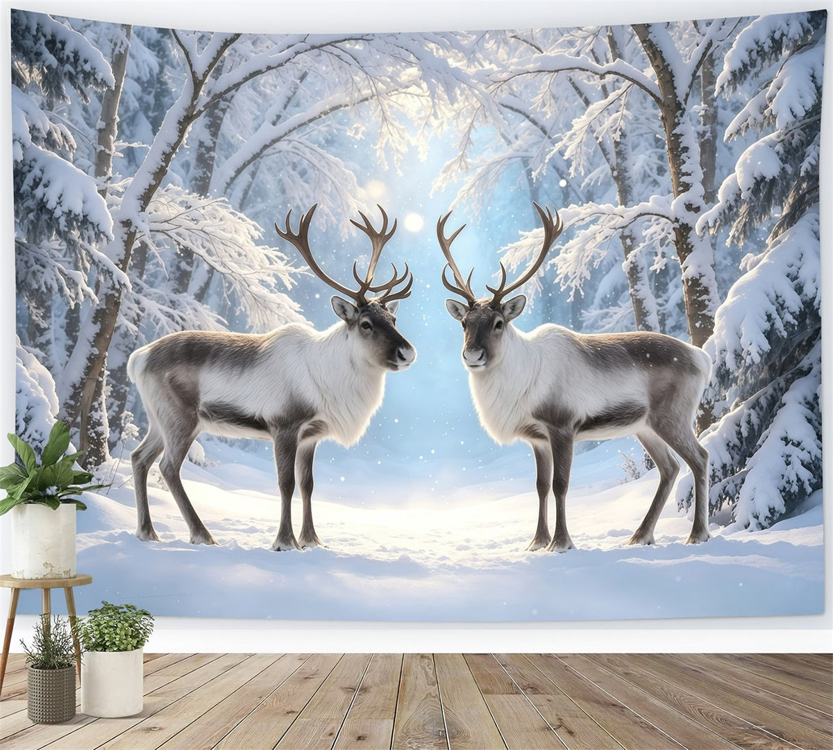 Snowy Christmas Backdrop Reindeer Winter Forest Path Christmas Photo Backdrop UK GQ68-117