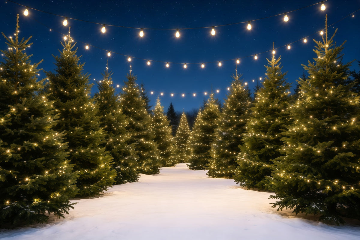 Christmas Tree Farm Backdrop Snowy Pine Light Path Christmas Backdrops UK GQ68-132