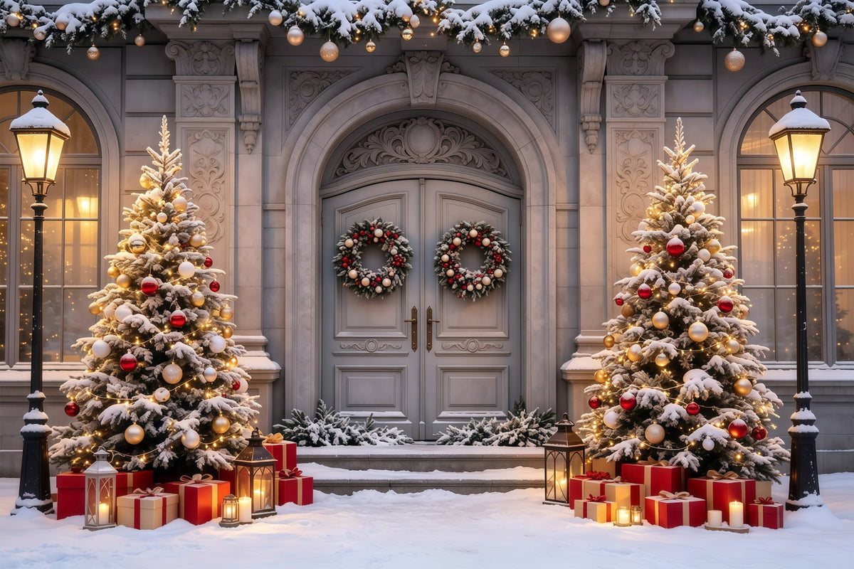 Christmas House Backdrop Snowy Mansion Doorway Trees Indoor Christmas Backdrop UK GQ68-61