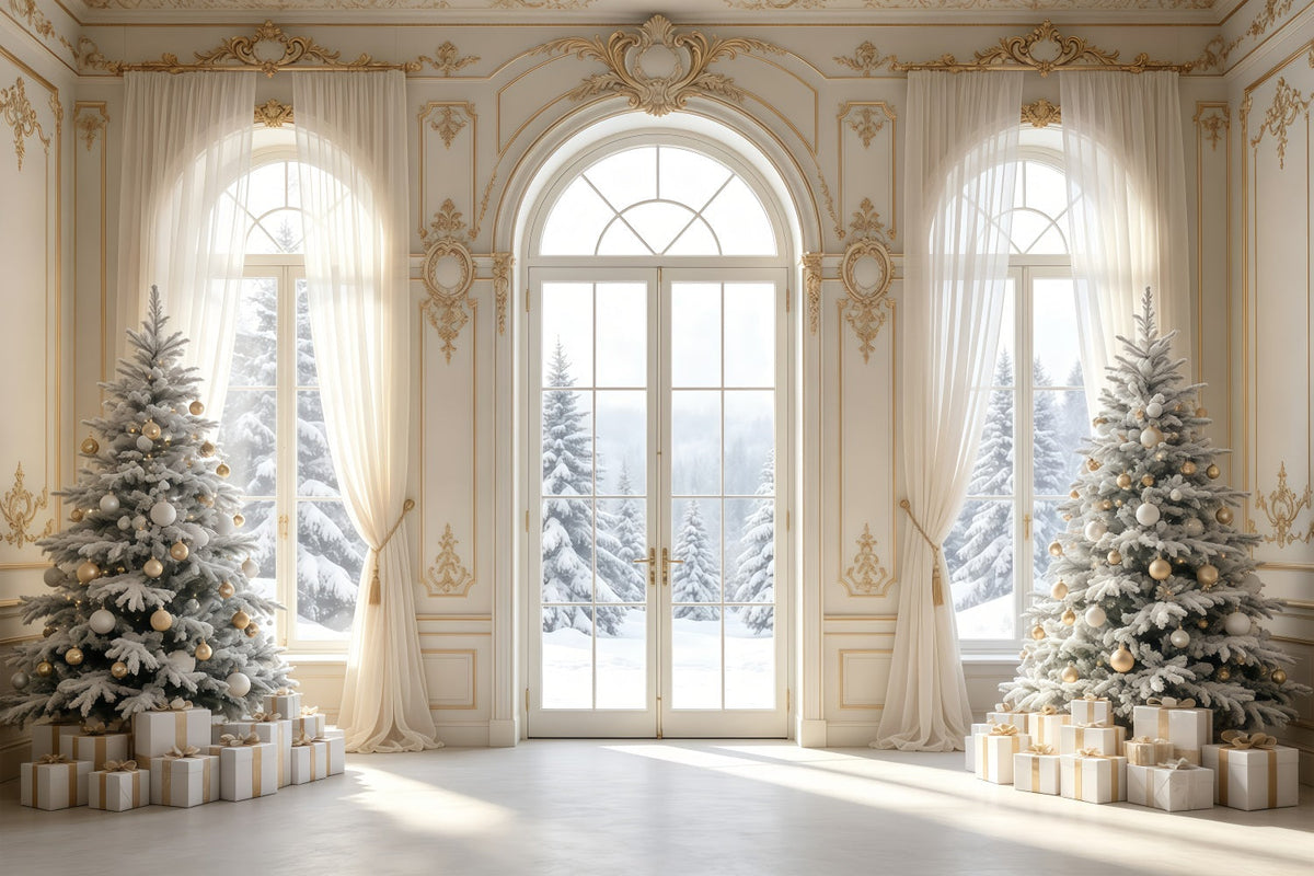 Elegant Christmas Backdrop Vintage Snowy Window View Christmas Backdrops UK GQ68-79