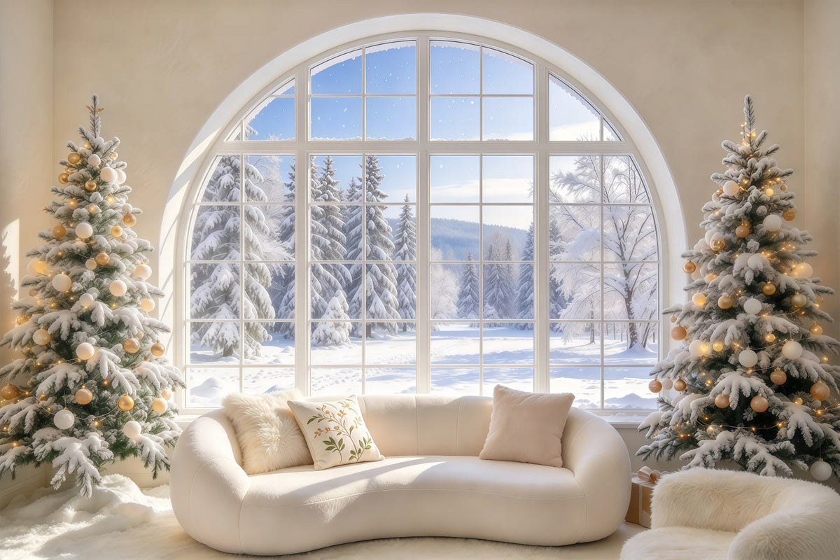 Christmas Couch Backdrop Snowy Arched Window Lounge Christmas Presents Backdrop UK GQ69-120