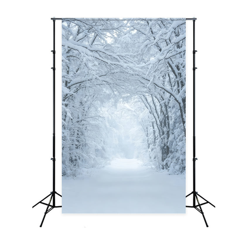 Winter Christmas Backdrop Snowy Forest Pathway Tunnel Christmas Studio Backdrops UK GQ69-43