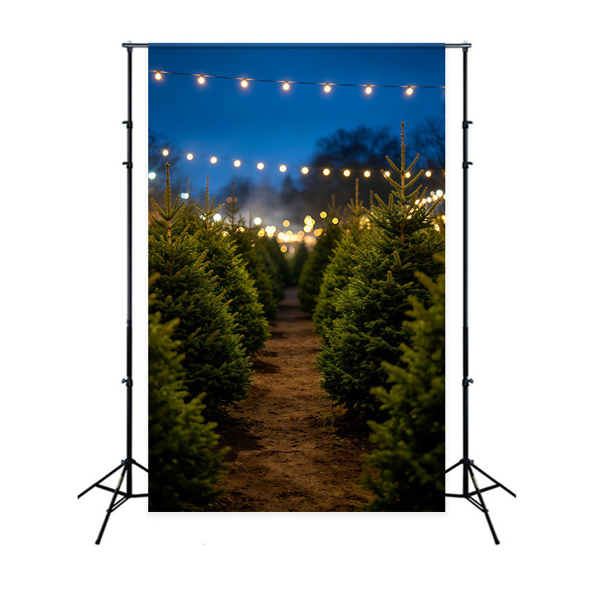 Christmas Tree Backdrop Nighttime Pine Tree Pathway Indoor Christmas Backdrops UK GQ69-49