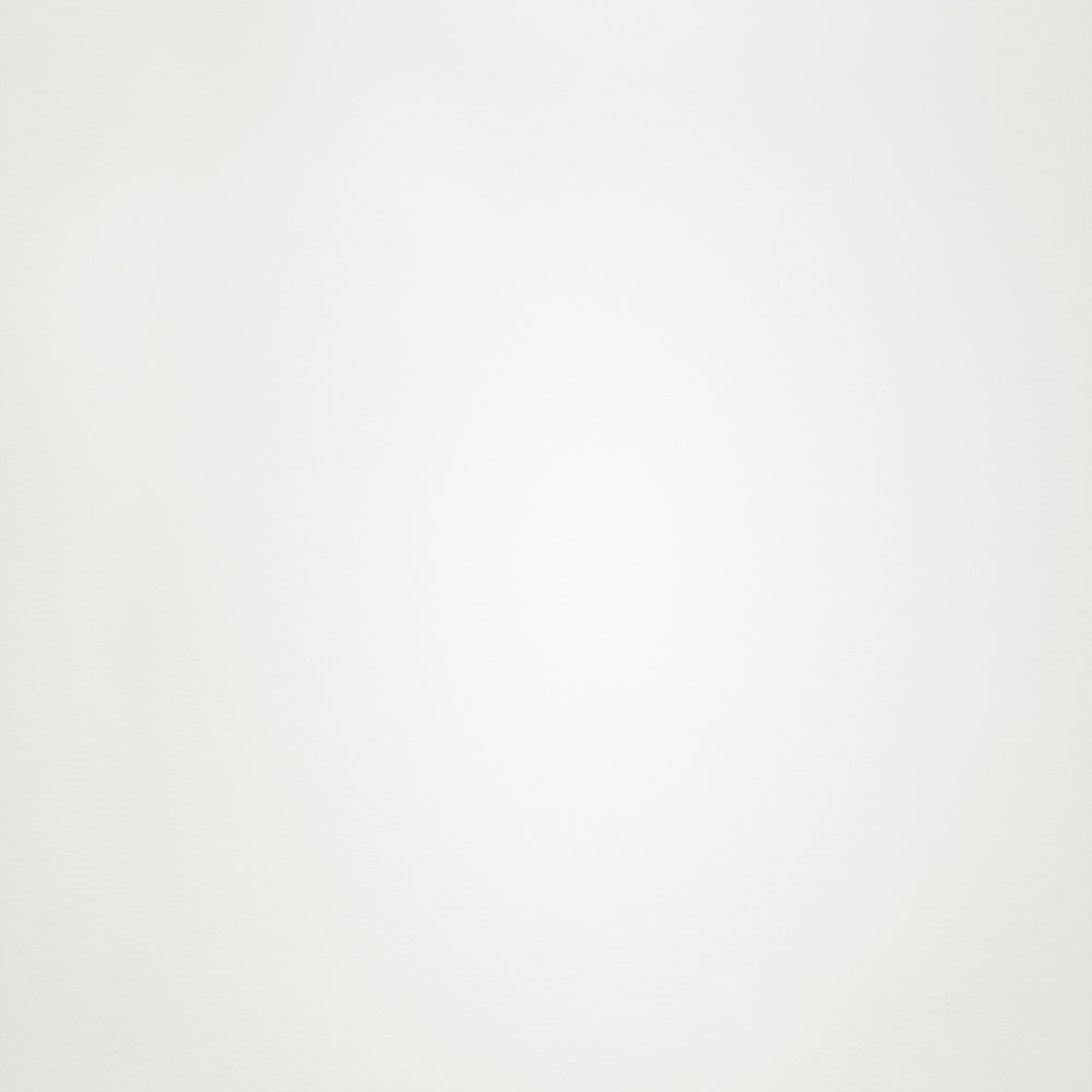 Professional Graduation Photo Backdrop Simple Off-White Backdrop UK GTY3-315