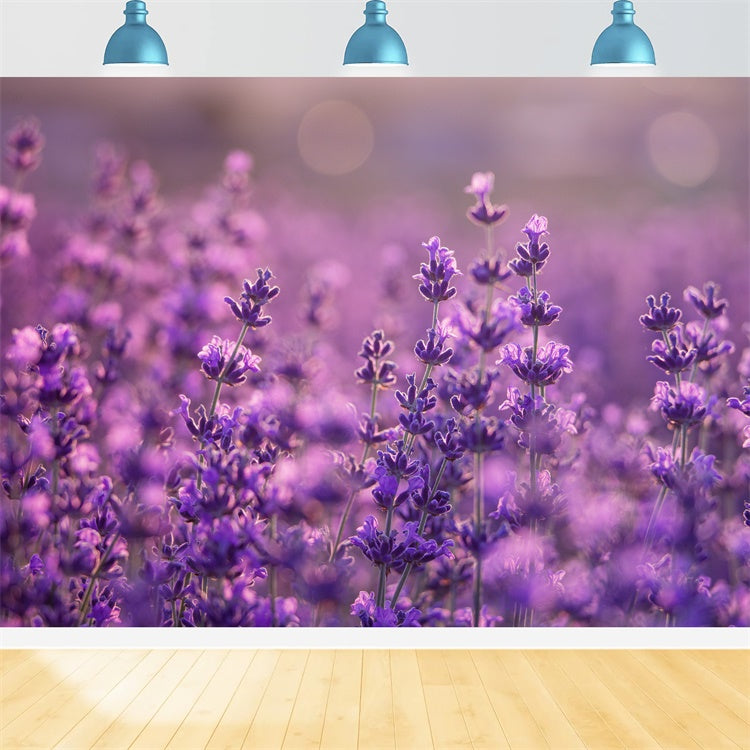 Purple Flowers Backdrop Gentle Violet Meadow Backdrop UK GTY3-32