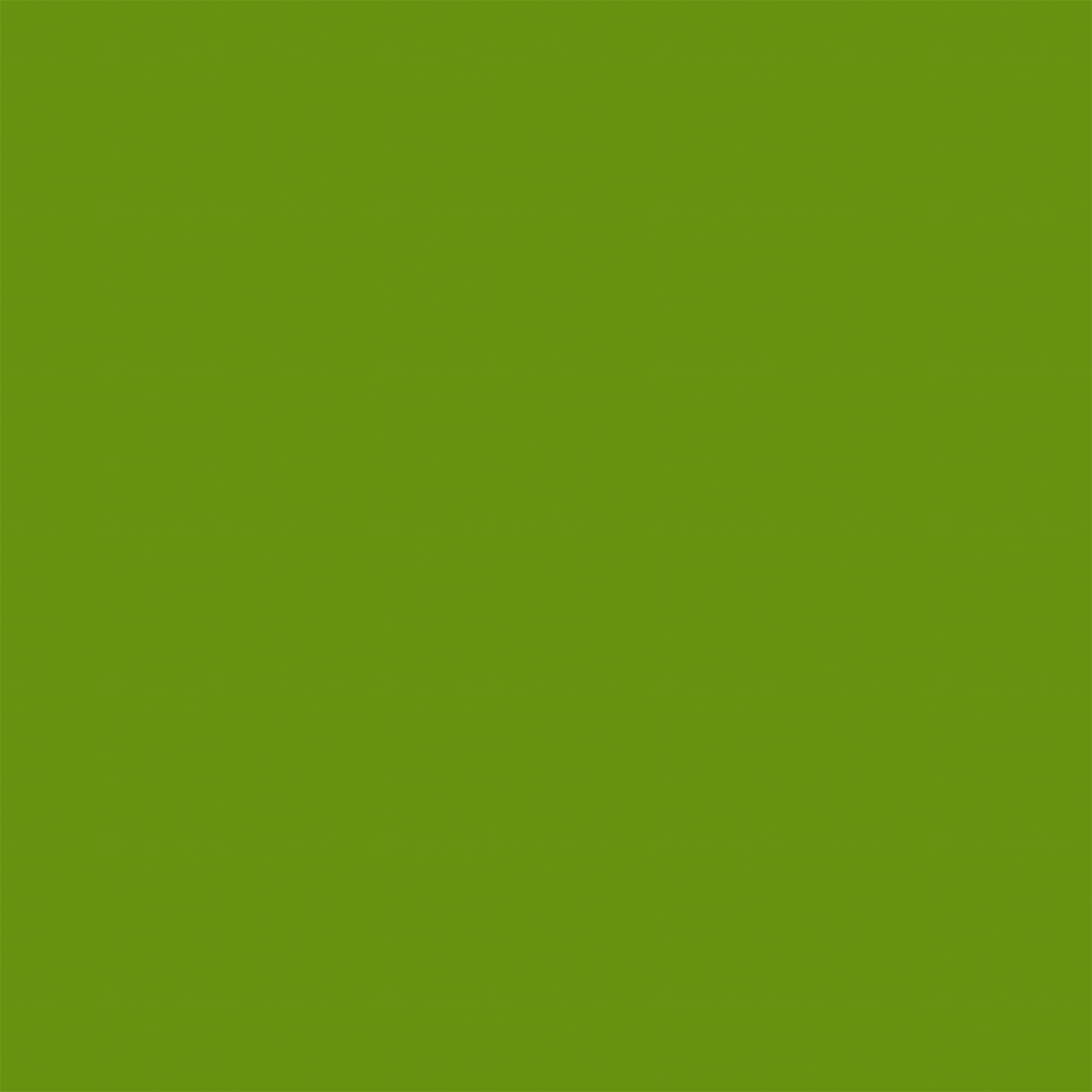 Professional Graduation Photo Backdrop Bright Grass Tone Backdrop UK GTY3-344