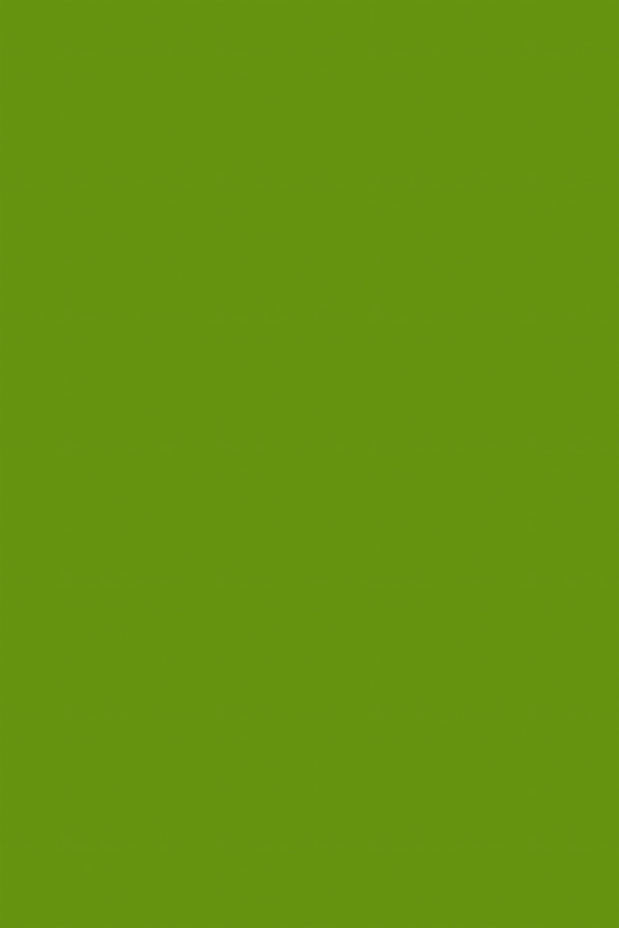 Professional Graduation Photo Backdrop Bright Grass Tone Backdrop UK GTY3-344