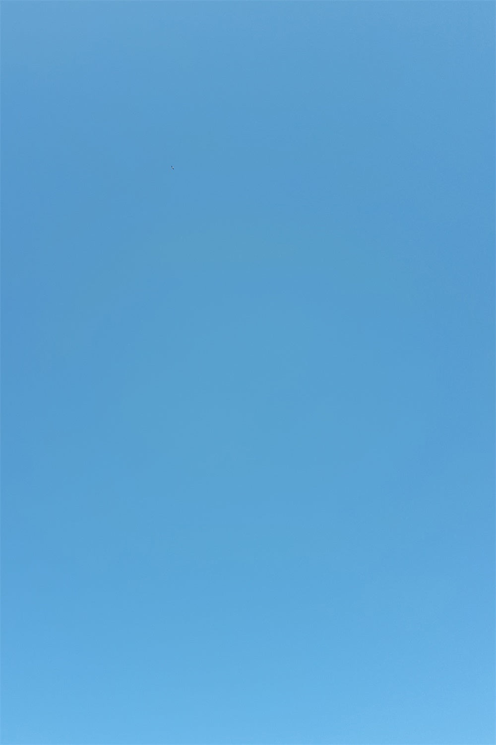 Blue Graduation Backdrop Vibrant Sky Blue Backdrop UK GTY3-348