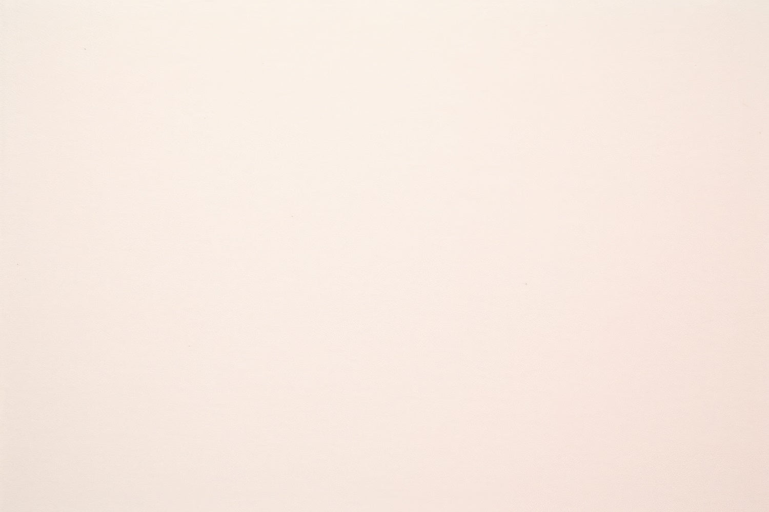 Backdrop For Headshots Soft Beige Minimalist Backdrop UK GTY3-349