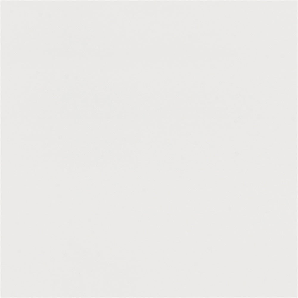 Graduation Portrait Backdrop Pale Ash Minimalist Texture Backdrop UK GTY3-355