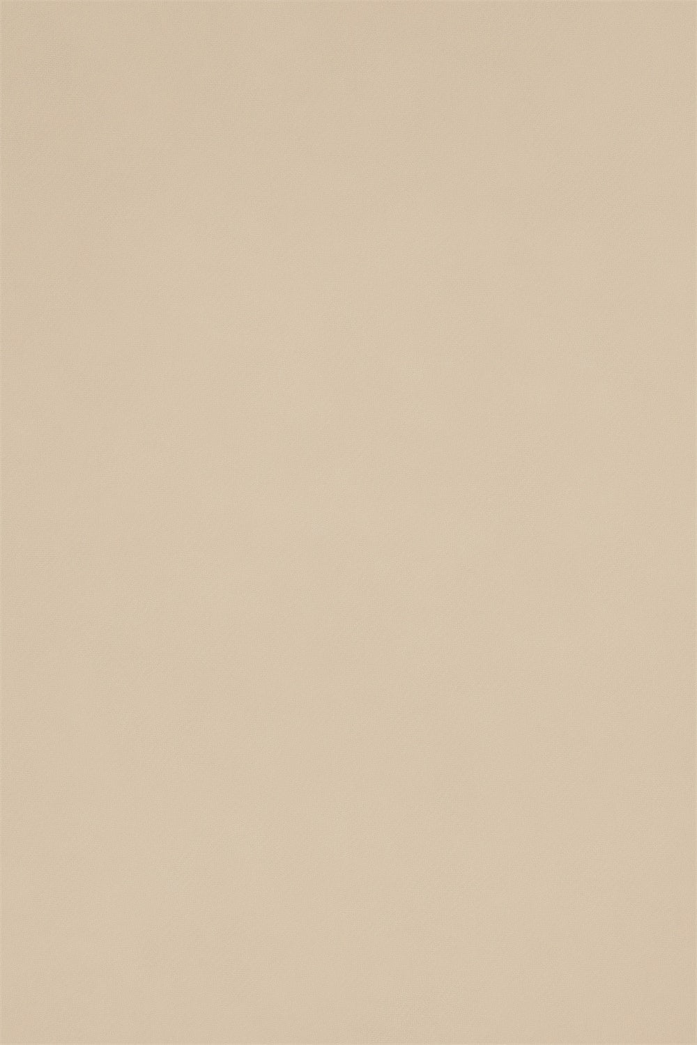 Backdrop Headshot Light Almond Smooth Tone Backdrop UK GTY3-360