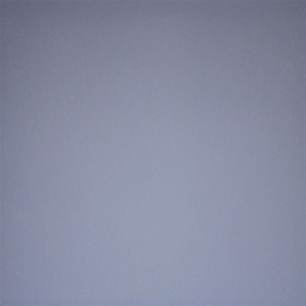 Backdrop For Headshot Pale Lilac Minimal Backdrop UK GTY3-368