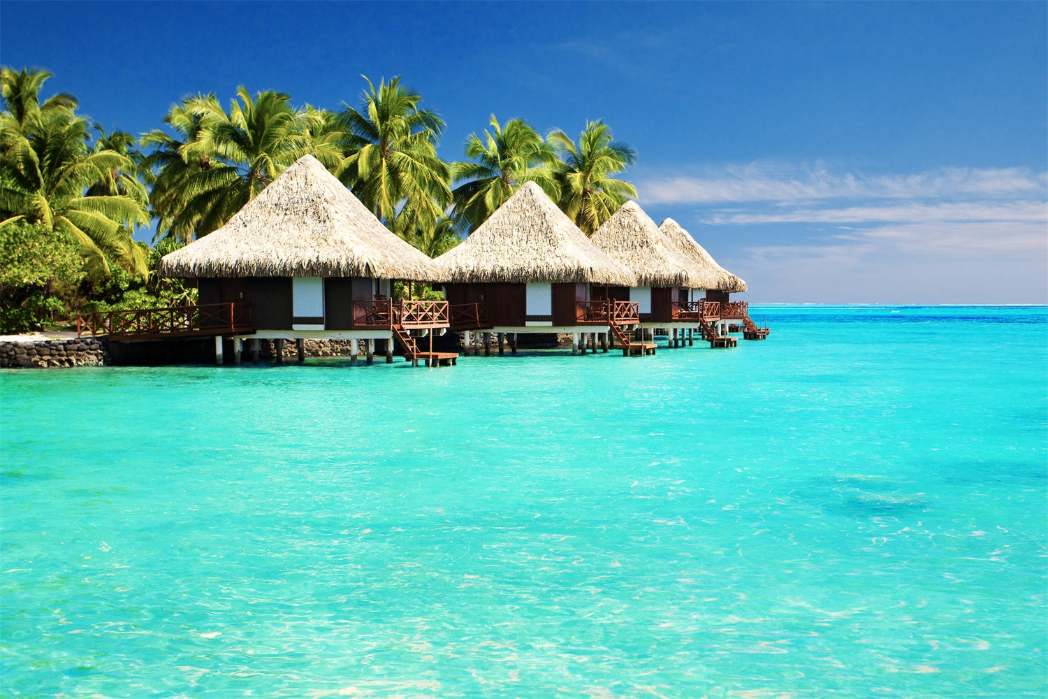 Tropical Backdrop Tropical Island Water Bungalow Summer Backdrop UK GTY3-383