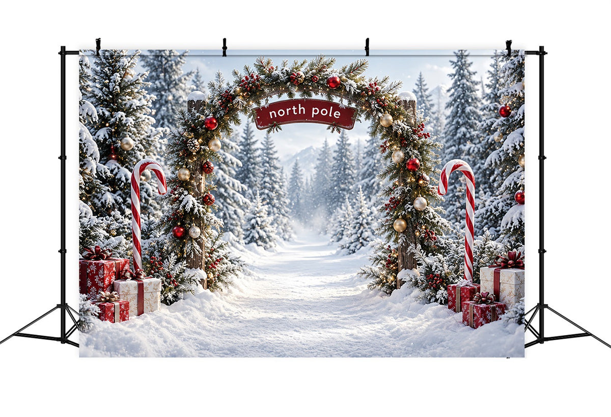 North Pole Photo Backdrop Candy Cane Forest Entrance Christmas Winter Backdrop UK HQ610-182