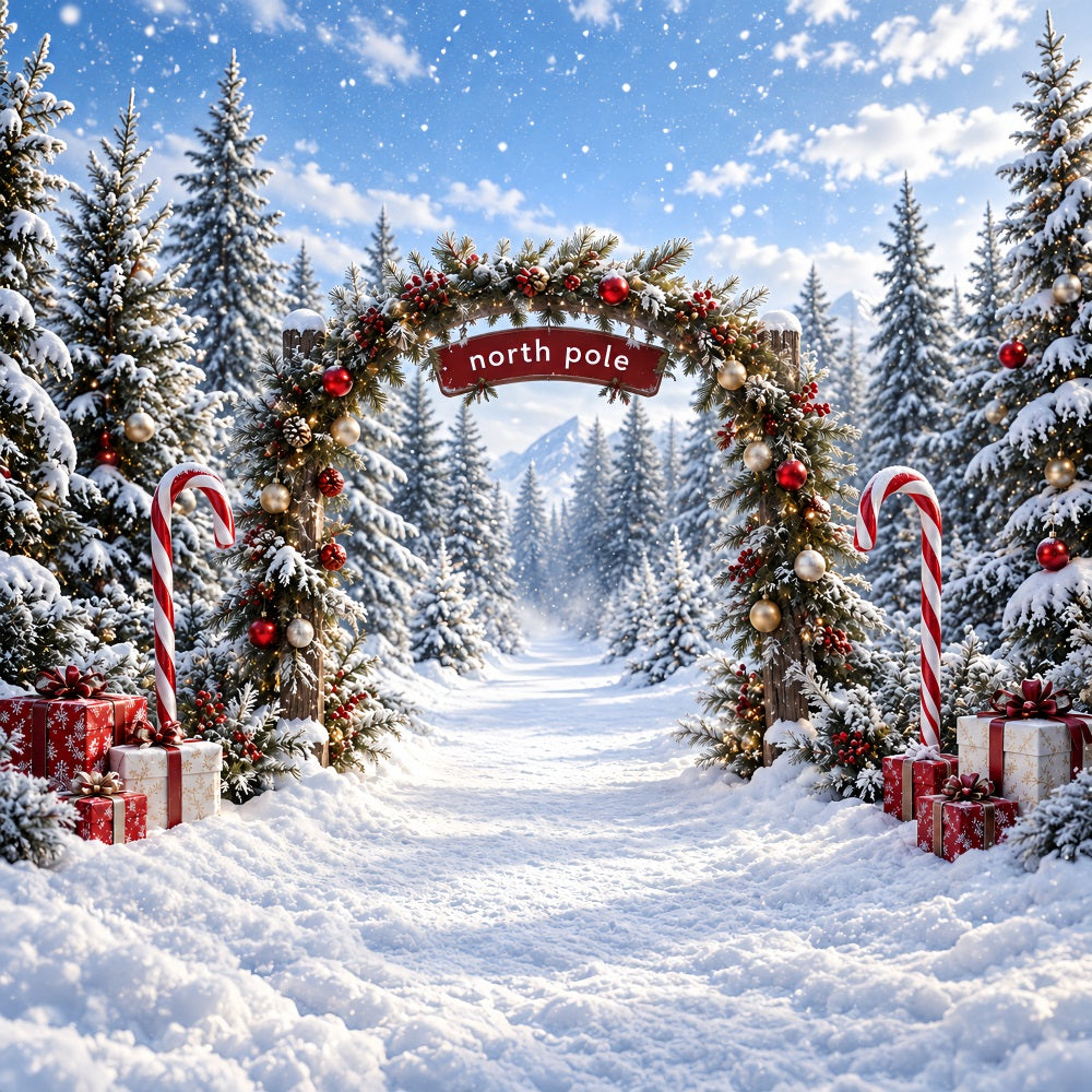 North Pole Photo Backdrop Candy Cane Forest Entrance Christmas Winter Backdrop UK HQ610-182