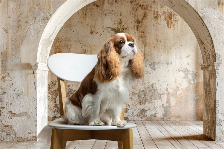 Pet Photography Backdrops Old Wall Rustic Arch Backdrop UK LXX1-256