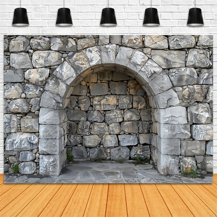 Pet Photography Backdrop Stone Arch Rock Wall Backdrop UK LXX1-257