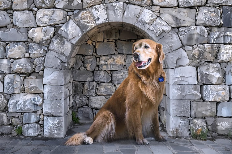 Pet Photography Backdrop Stone Arch Rock Wall Backdrop UK LXX1-257