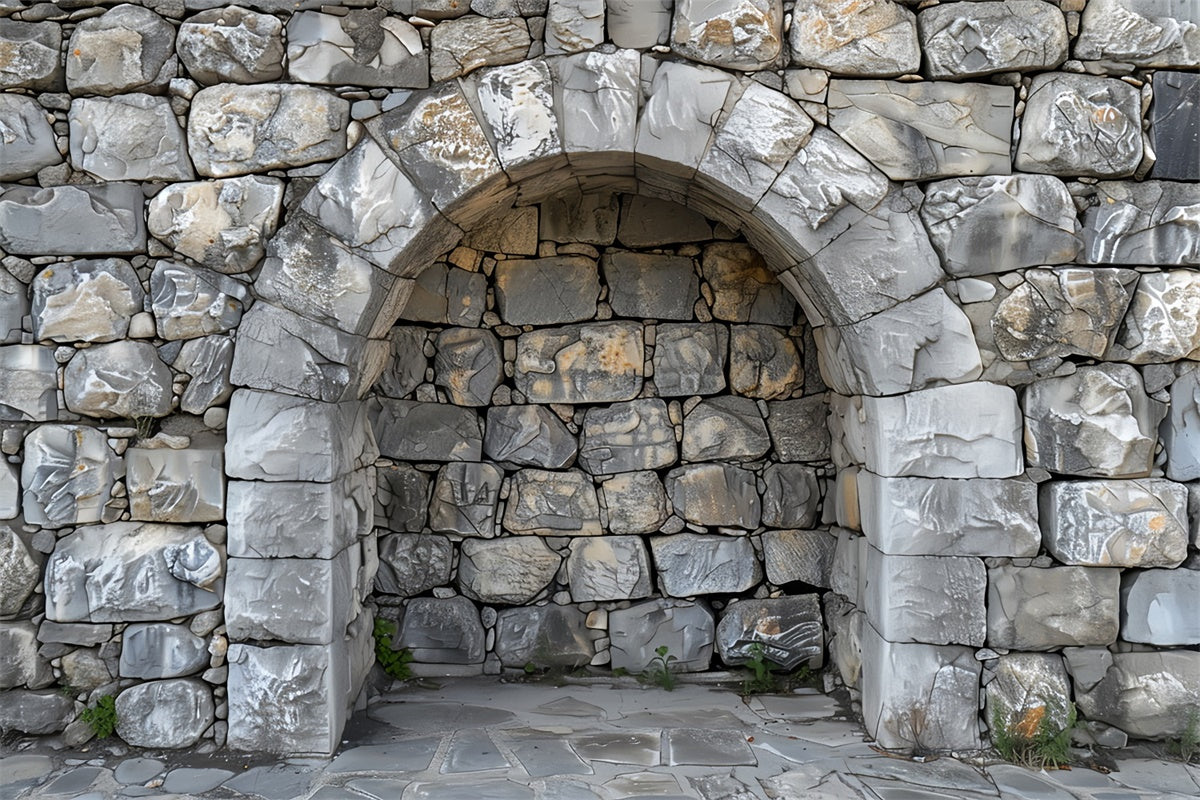 Pet Photography Backdrop Stone Arch Rock Wall Backdrop UK LXX1-257