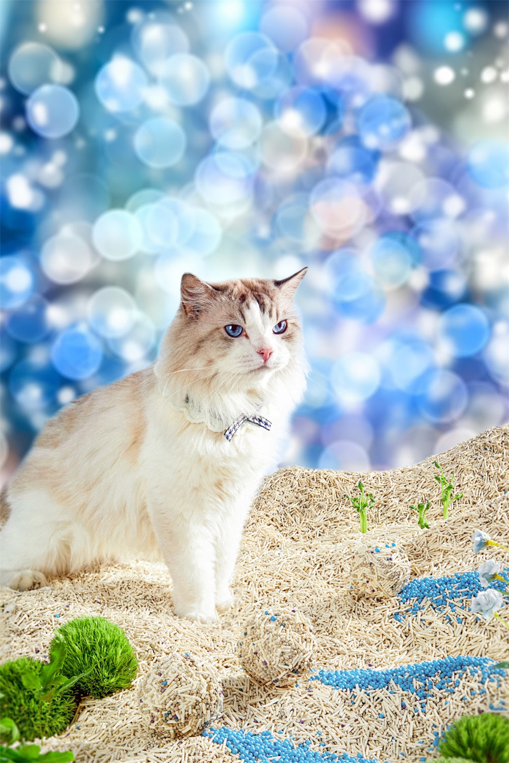 Pet Photography Backdrop Blue Light Bokeh Backdrop UK LXX1-290