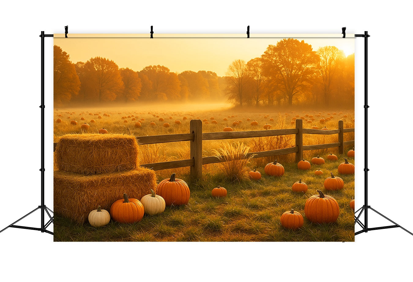 Pumpkin Patch Backdrop Golden Meadow Pumpkin Field Thanksgiving Backdrop UK LXX510-48
