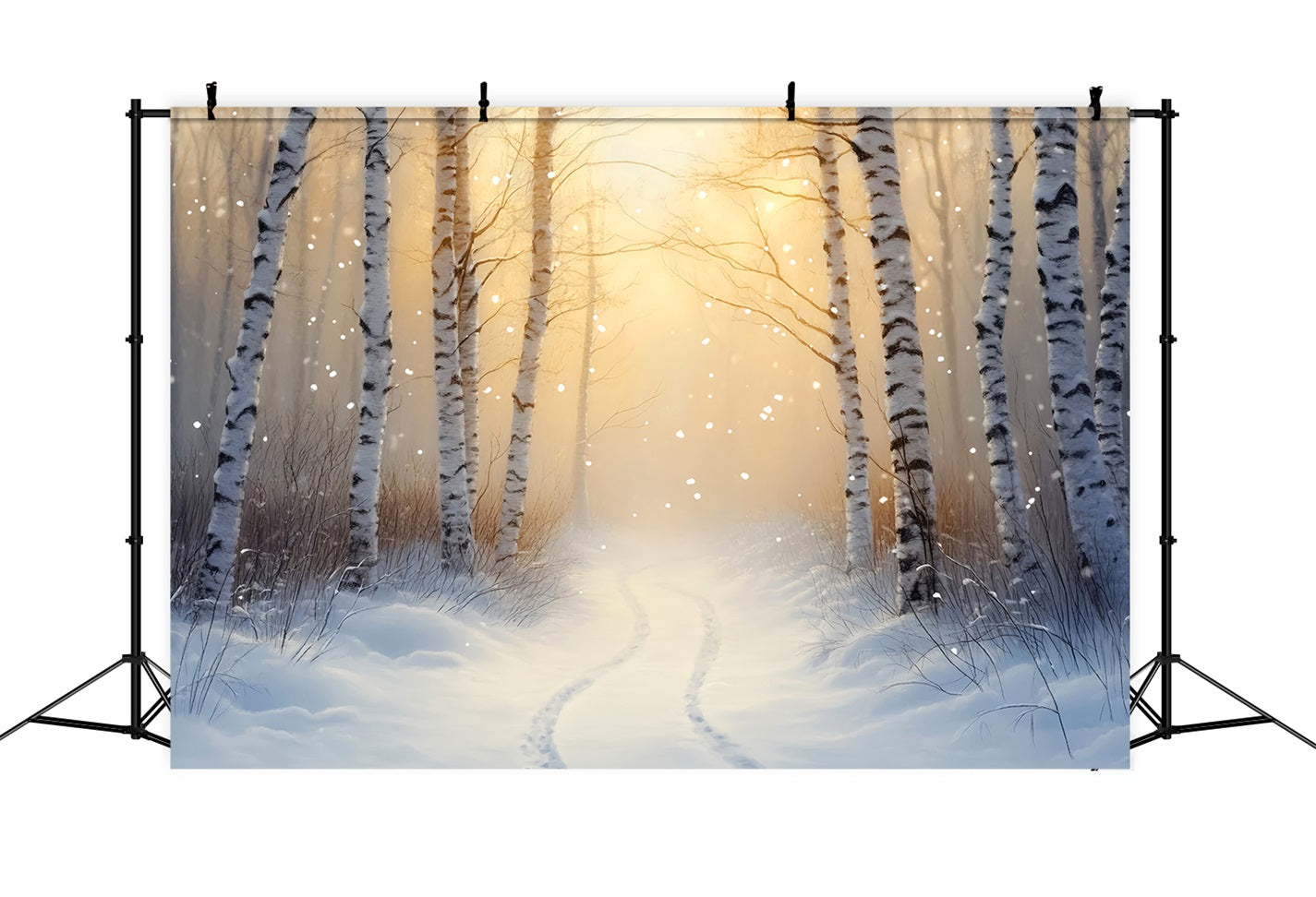 Winter Wonderland Backdrop Golden Birch Winter Trail Winter Backdrop UK LXX510-77
