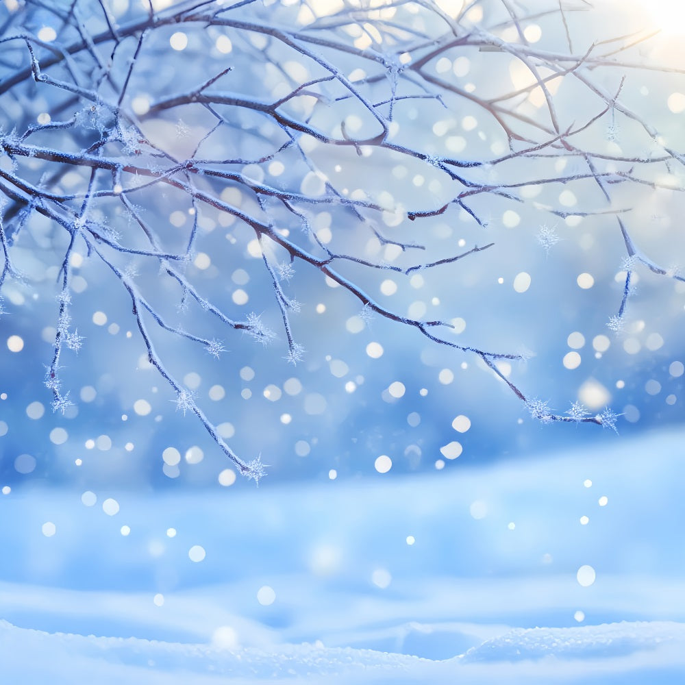 Winter Snow Backdrop Frosted Branch Snowflakes Glow Winter Photo Backdrops UK LXX510-80