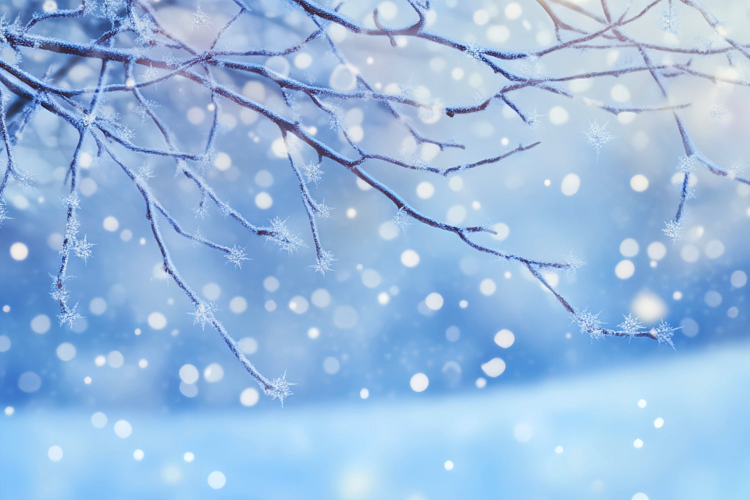 Winter Snow Backdrop Frosted Branch Snowflakes Glow Winter Photo Backdrops UK LXX510-80