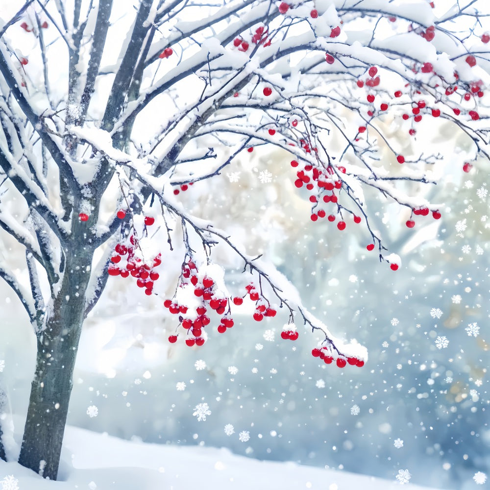 Winter Snow Backdrop Red Berry Snow Branches Winter Photo Backdrops UK LXX510-83